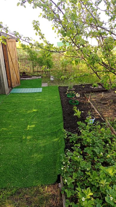 Продам дачу. С/ о "Дружба"