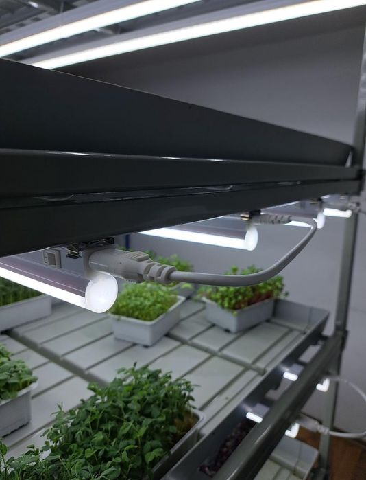 Vand raft hidroponic microplante
