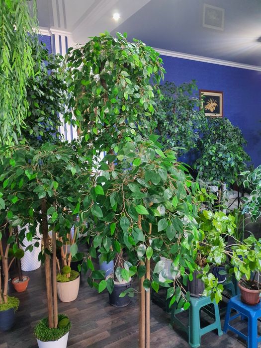 Продам искуственые деревья