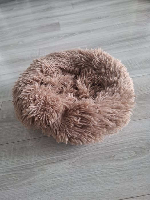 Pat pisica de talie mica