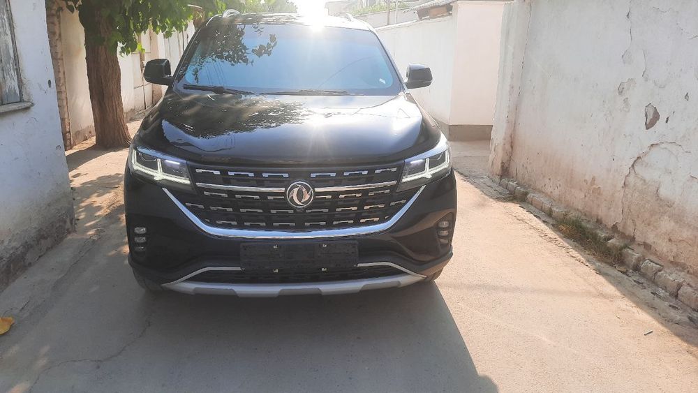 DongFeng T5L, holati alo