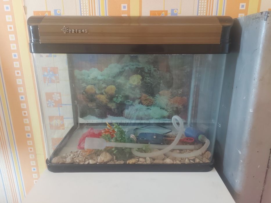 Аквариум- б/у 80литров