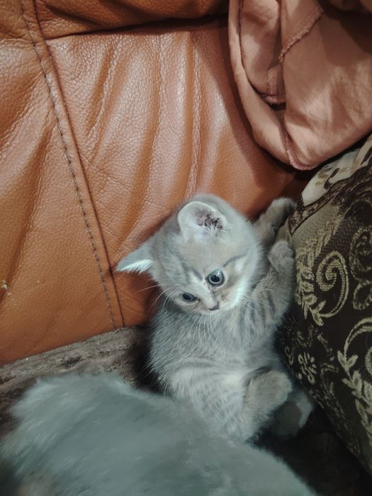 Очень милые малыши