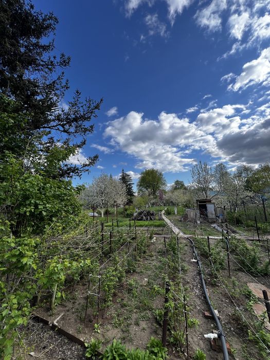 СРОЧНО!!!Продам дачу мечты