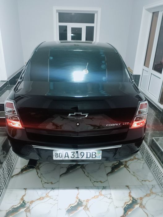 Cobalt midnight 2025