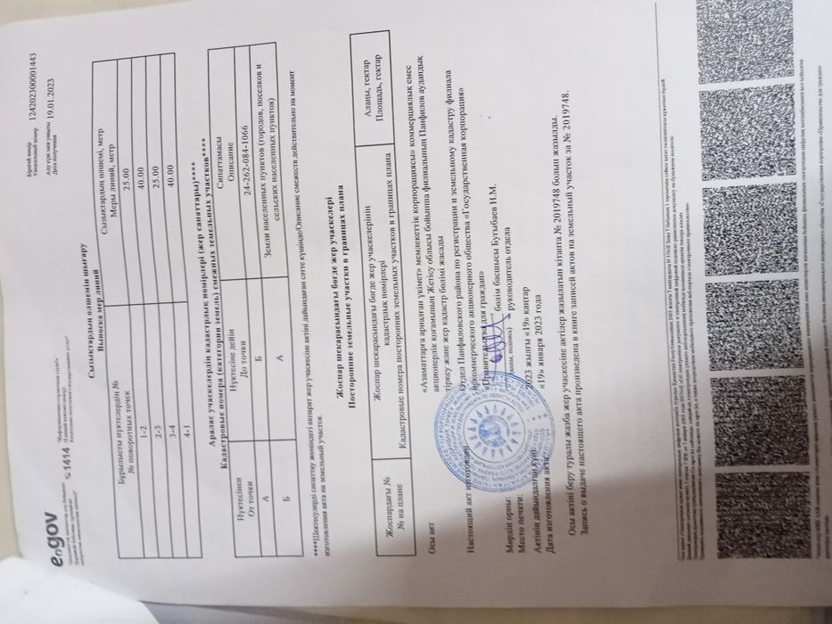 Злдд тигр прогюб