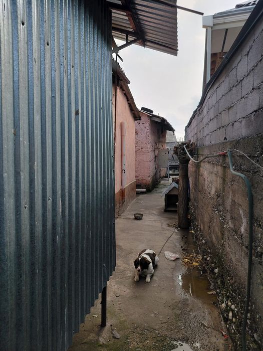 Продается дом  Продается дом