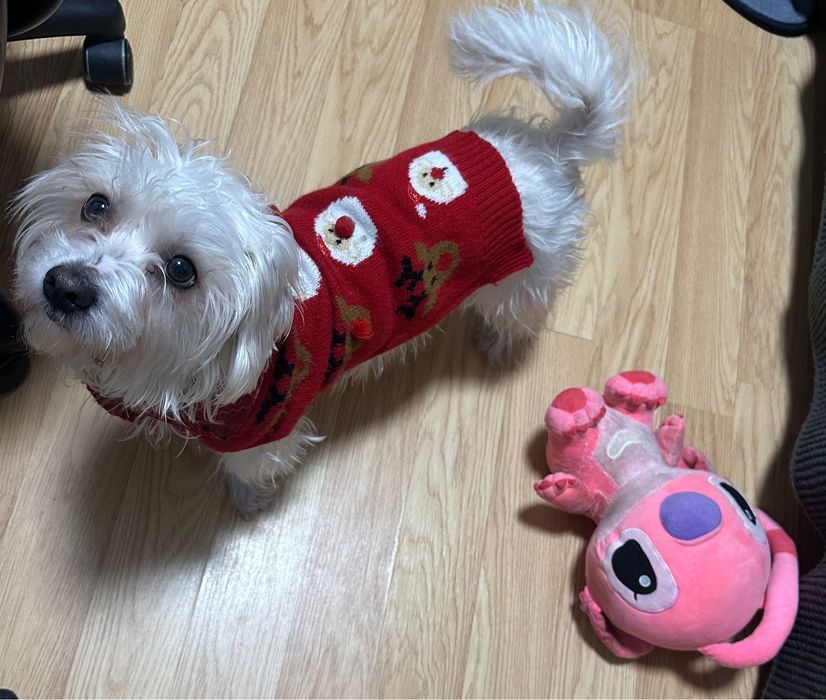 Donam - Mascul 2 ani