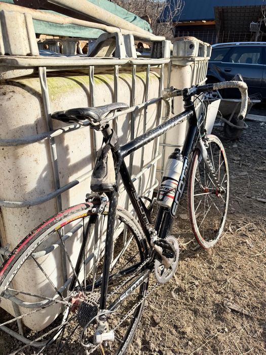 Bicicleta de sosea Cipollini