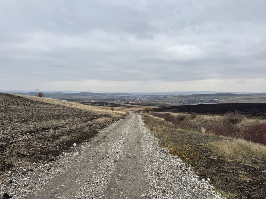 Terenuri extravilane in Copaceni investitie intr-o zona in dezvoltare