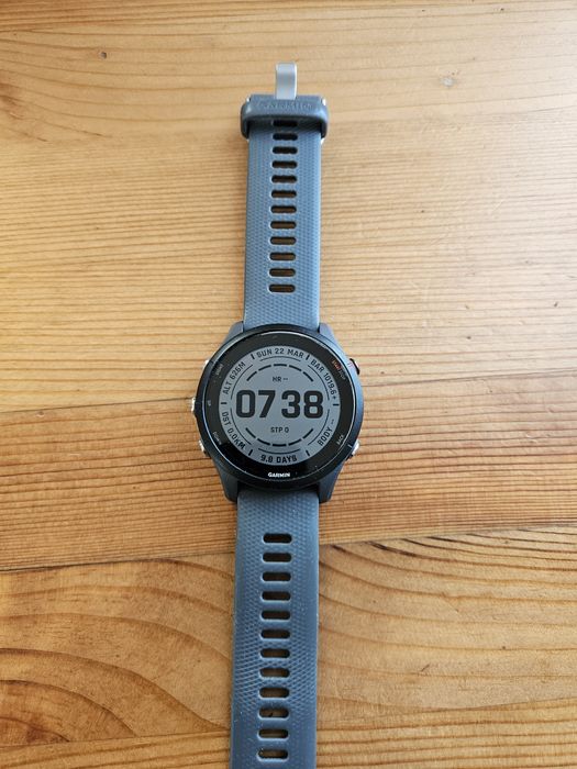 Часы Garmin Forerunner 255
