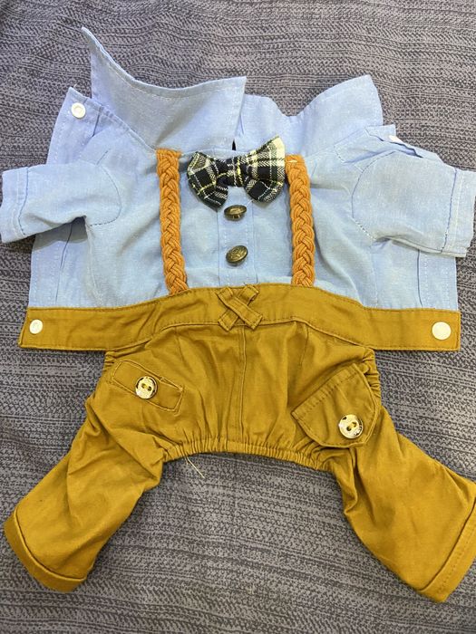 одежда для собаки