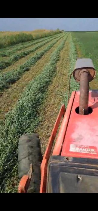 Baloți de lucernă PREMIUM – 25 lei/buc • Calitate garantată!