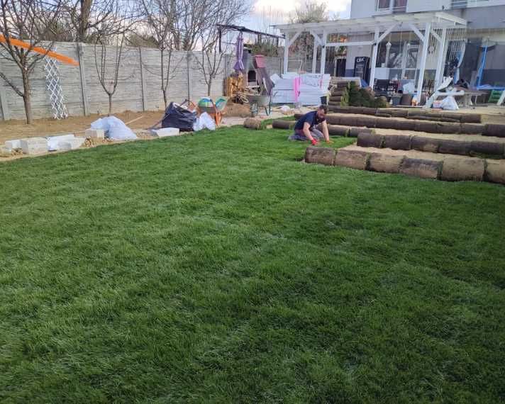 Gazon Rulou Calitate extra