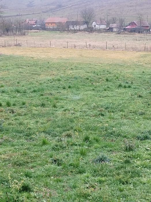 Casa de vanzare in Boian