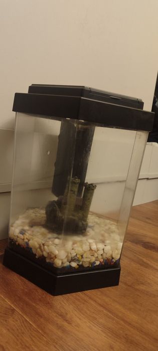 Аквариум настольный