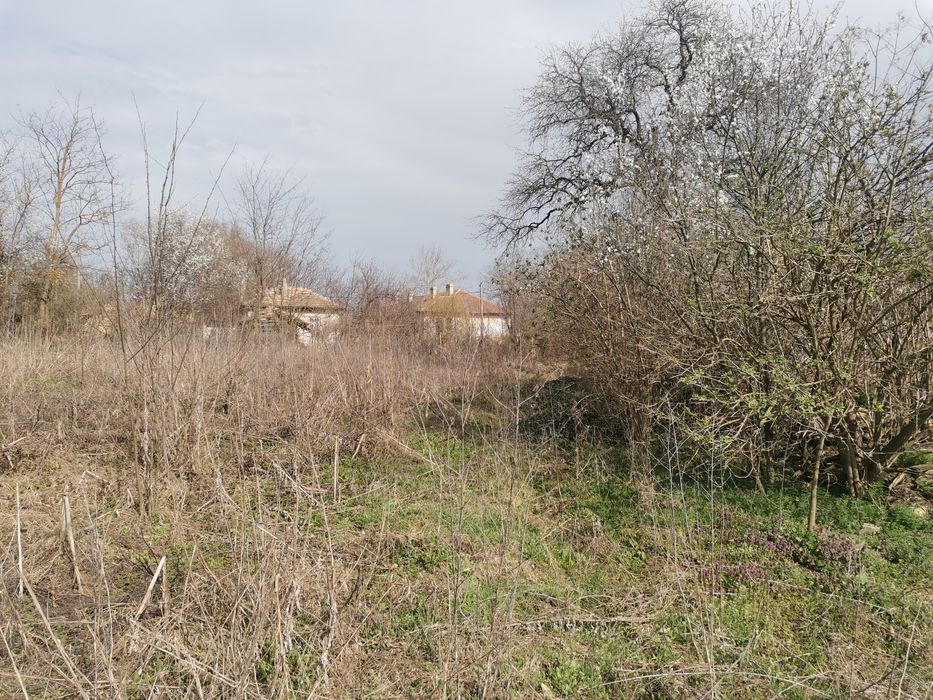 Дворно место с къща с. Щипско, общ. Вълчи Дол, обл. ВАРНА