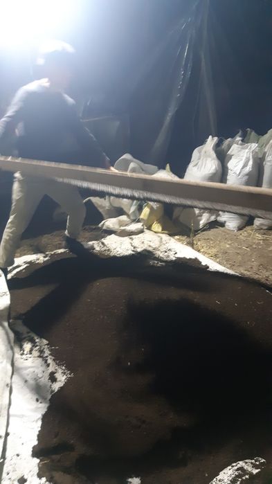 Биогумс ва калифорния қизил ёмғир чувалчанглари