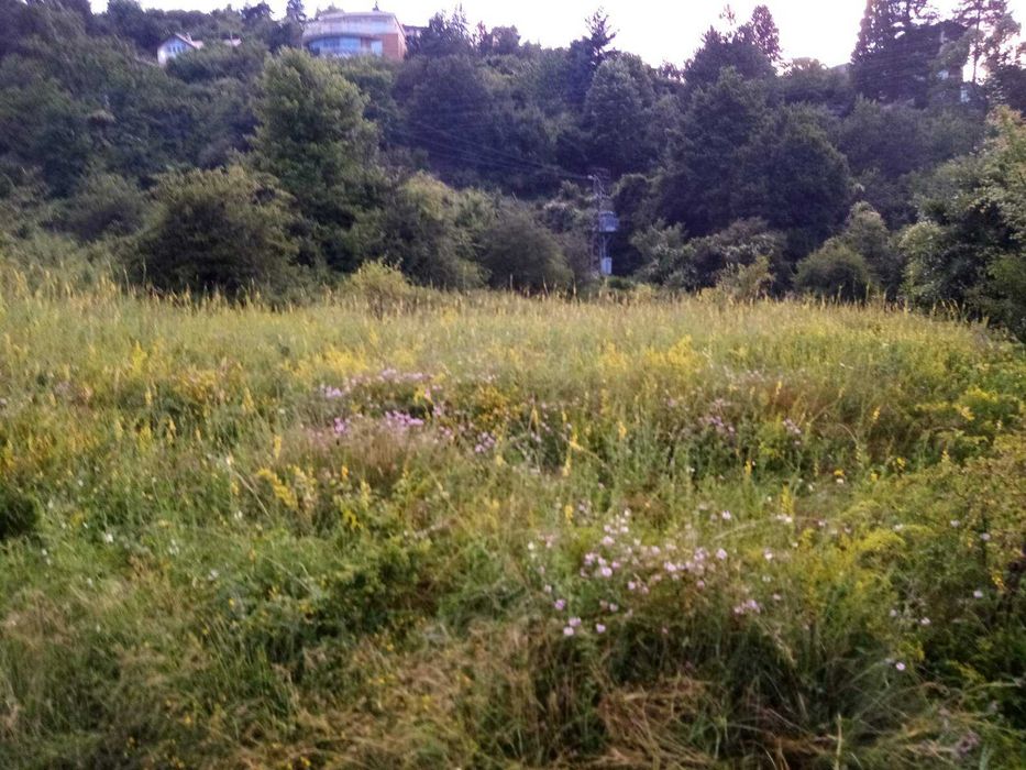 Продава се Парцел в с. Панчарево, Област София-град - 2000 кв.м за 175 €/кв.м - Снимка #3