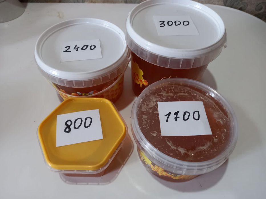Продам Мёд свежий