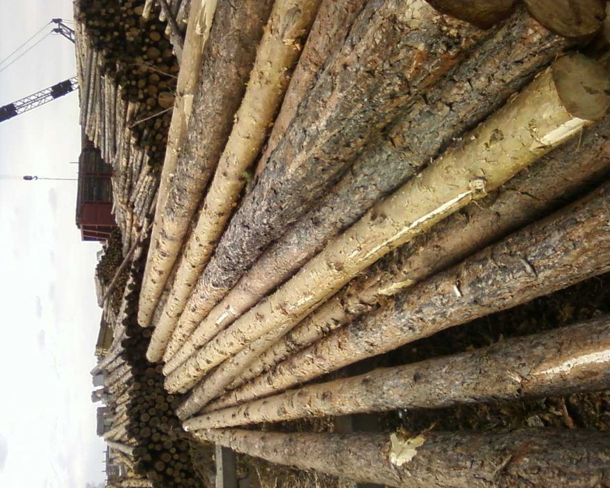 Деревянные опоры для ЛЭП и пиломатериалы