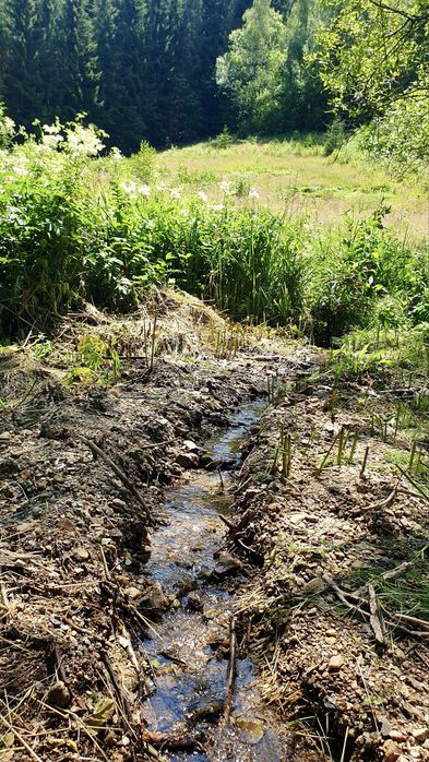 Persoana fizica vand teren intravilan in Rasca, locatie superba