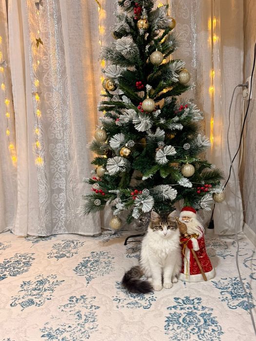 Отдадим мальчика в добрые руки