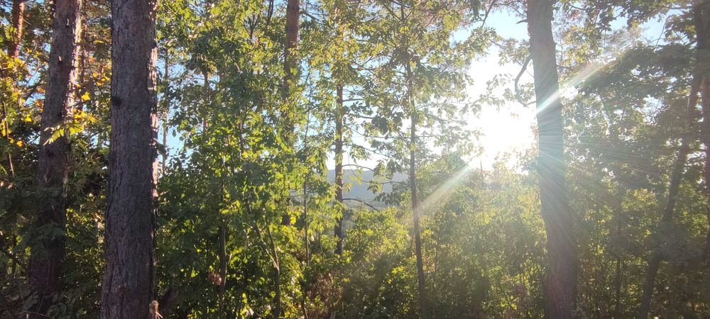 Продава се Къща в София, Горна баня - 676 кв.м за 1500 €/кв.м - Снимка #3