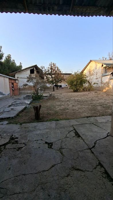 Олтынтепа 7 соток 17х50