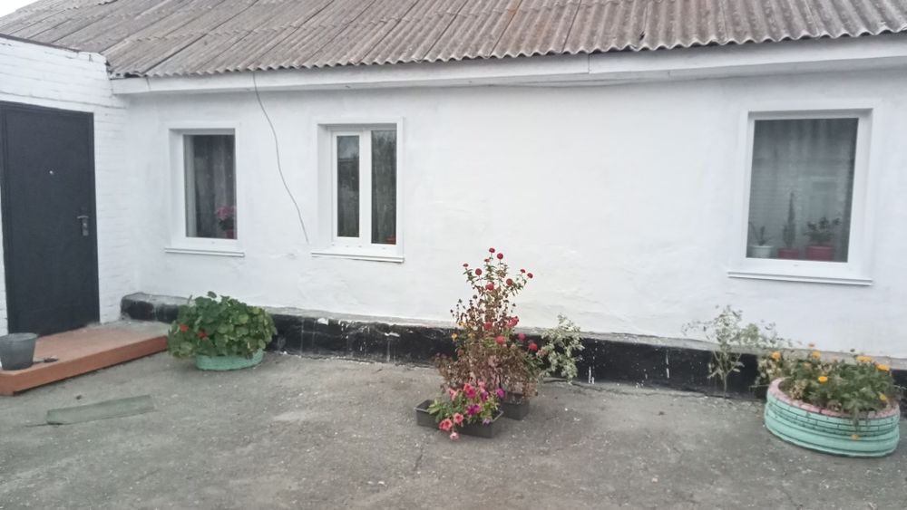 Продам дом село Нечаевка