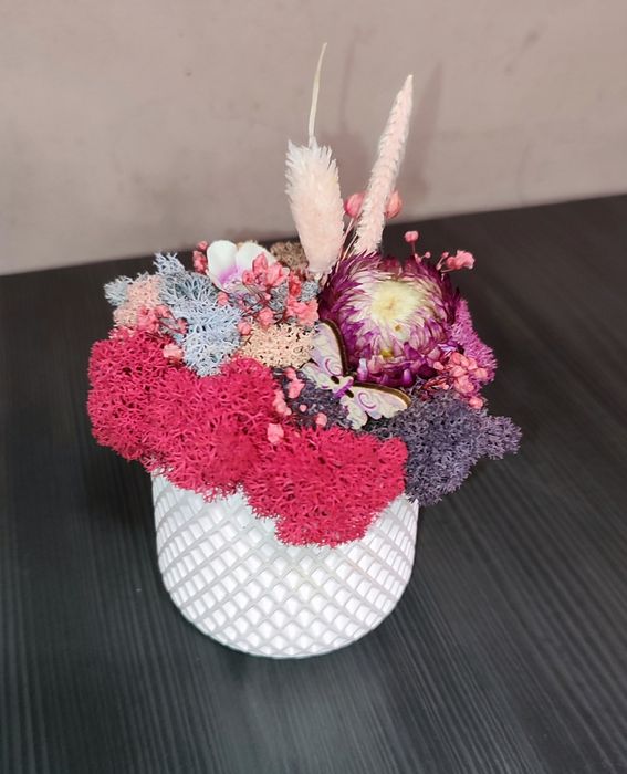 Различни видове кашпи със скандинавски мъх