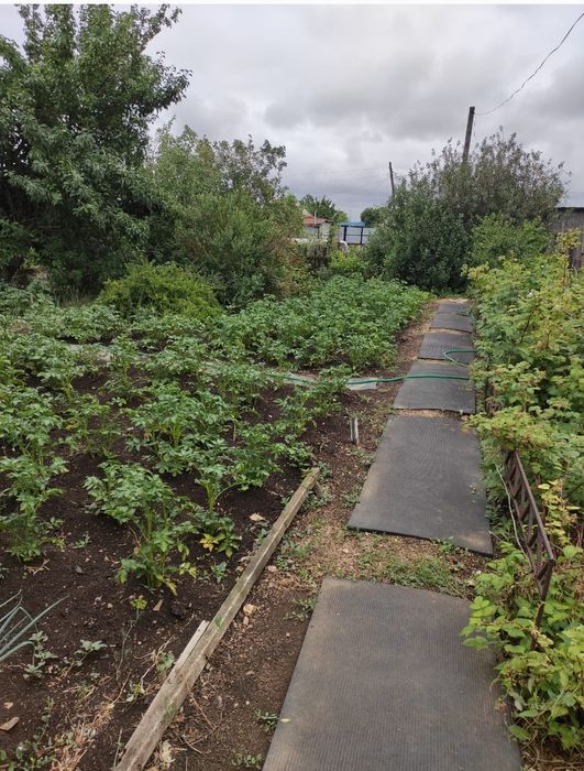 Дача по красноярской трассе