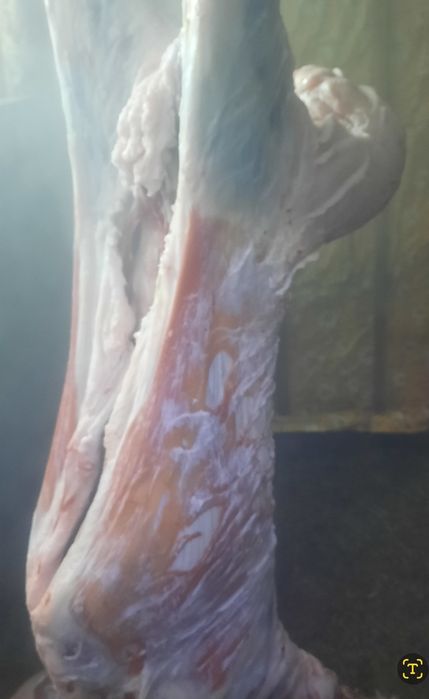 Мясо. Баранина. Доставка