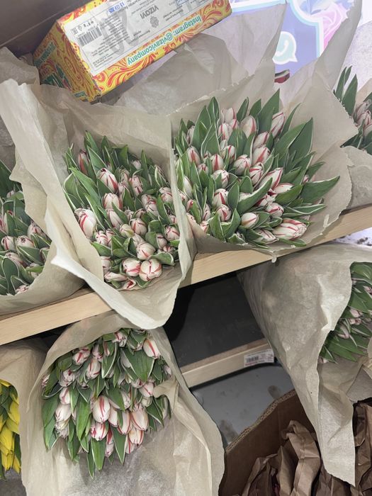 Тюльпаны не дорого