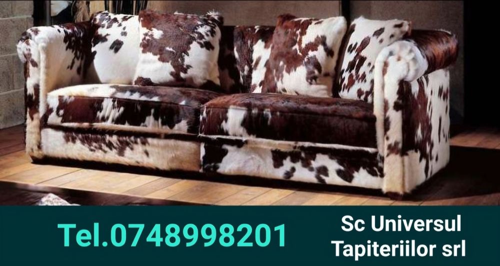 Tapiter,La comanda,Tapiteri, Retapitari, Restaurări,Retapitare