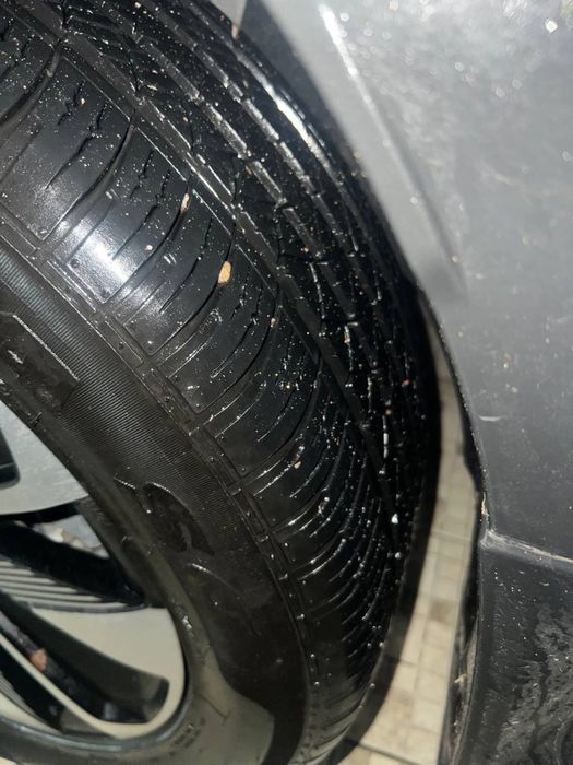 BYD chimpiyon ev 2025 madel