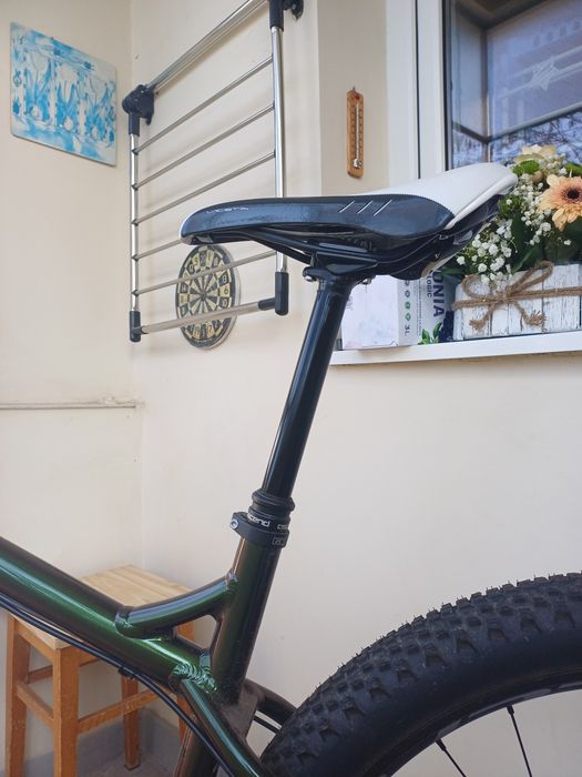 [Custom Build] Ragley Marley 2024 Chameleon, Mullet