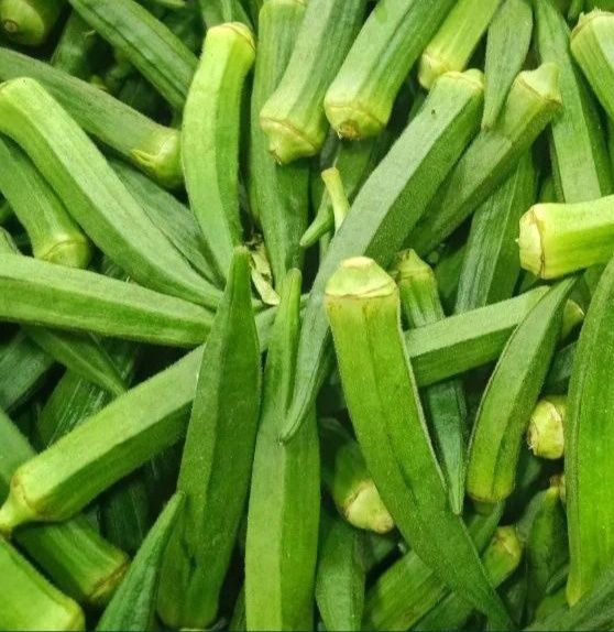 Бамия сотаман. Продам бамия.