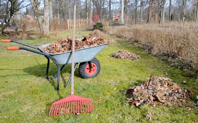 Вспашка земли мотоблоком Уборка териитории