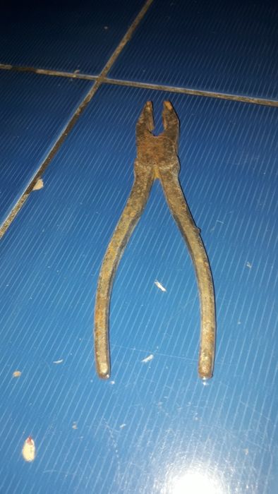 Пласкогубцы , пасатижи