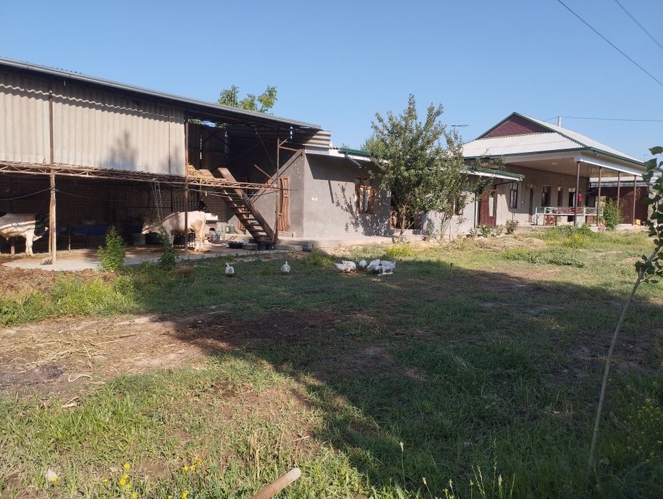 Yangiyol tumani uy sotiladi