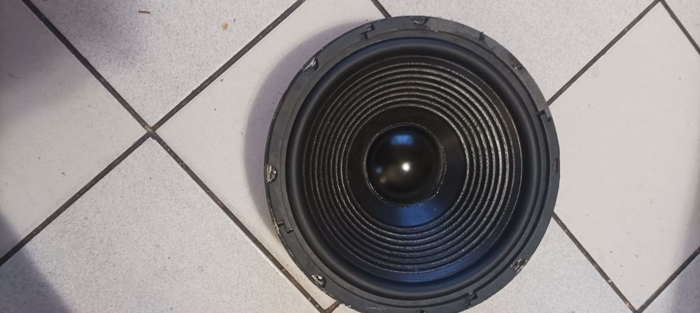 Бг бас говорител