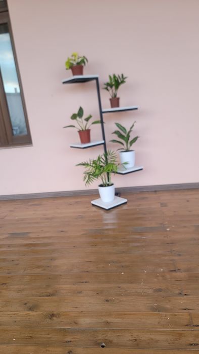 gullarga pastafka