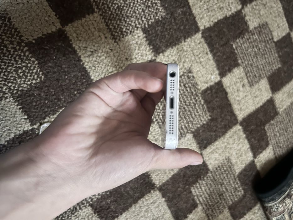iPhon 5s radnoy