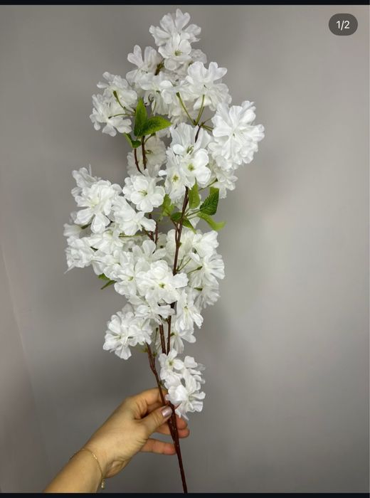 Белая Сакура для оформления