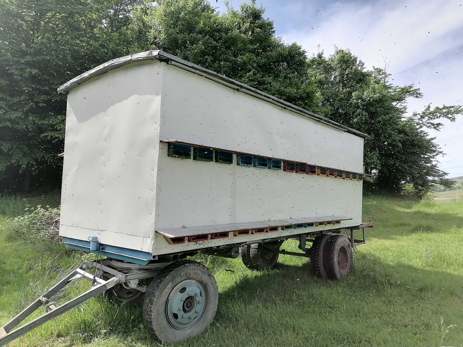 Vând 2 pavilioane Apicole 50 fam sau schimb