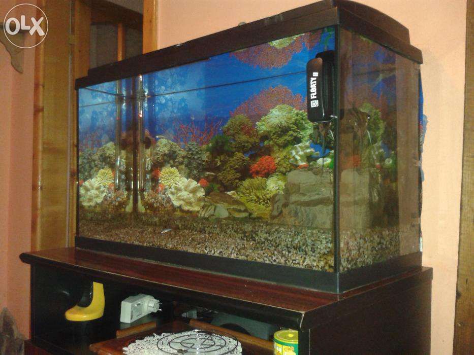 Vand schimb, videoproiector,UPS, statii CB,etc...