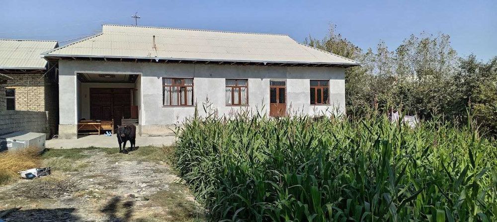 Tayyor yashash uchun uy joy