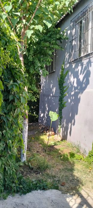 Продам Дачу Чубарсу 12 сотки. ( Варианты)