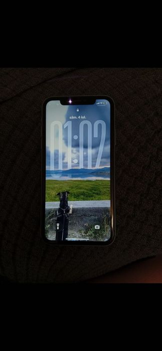 iPhone 11 baterie 74